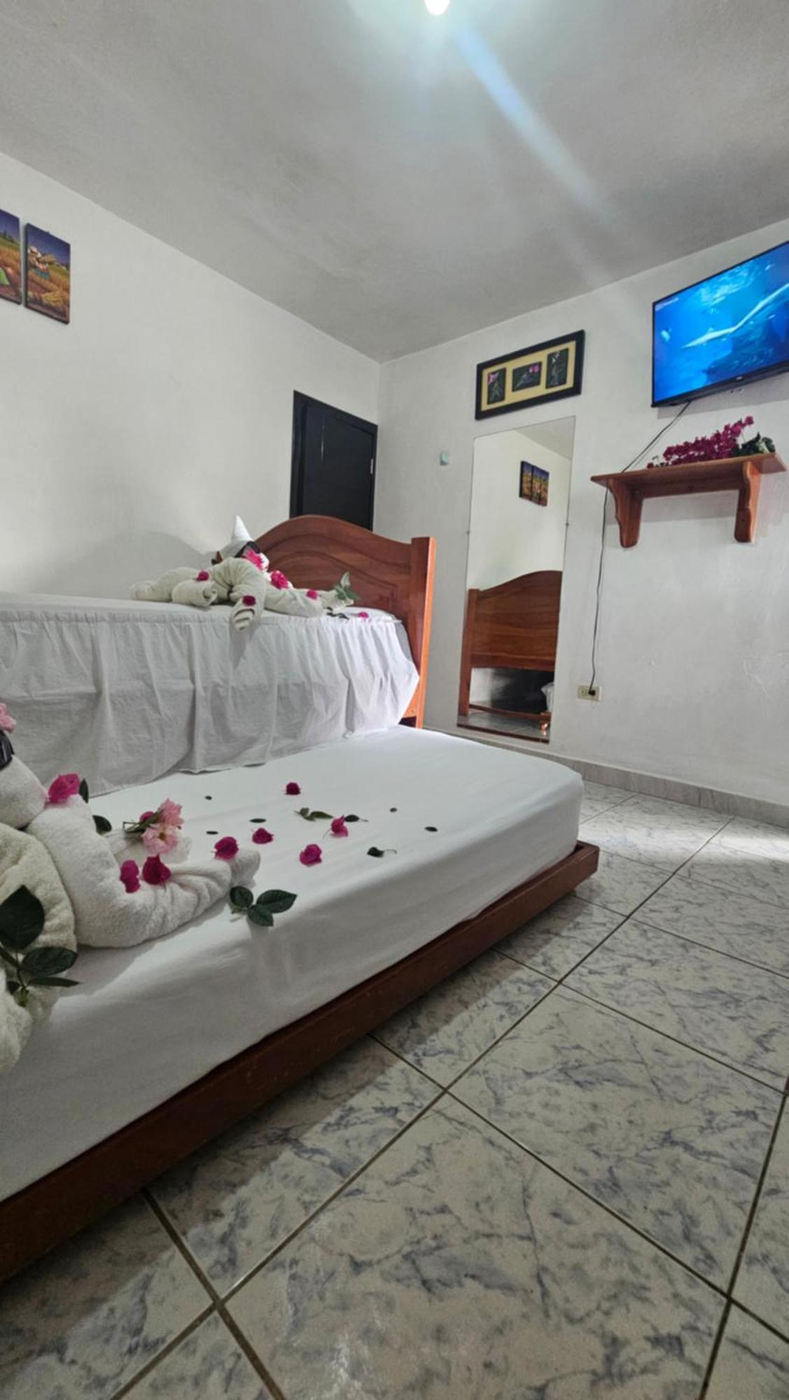 Flor'S House Apartman San Cristóbal Kültér fotó