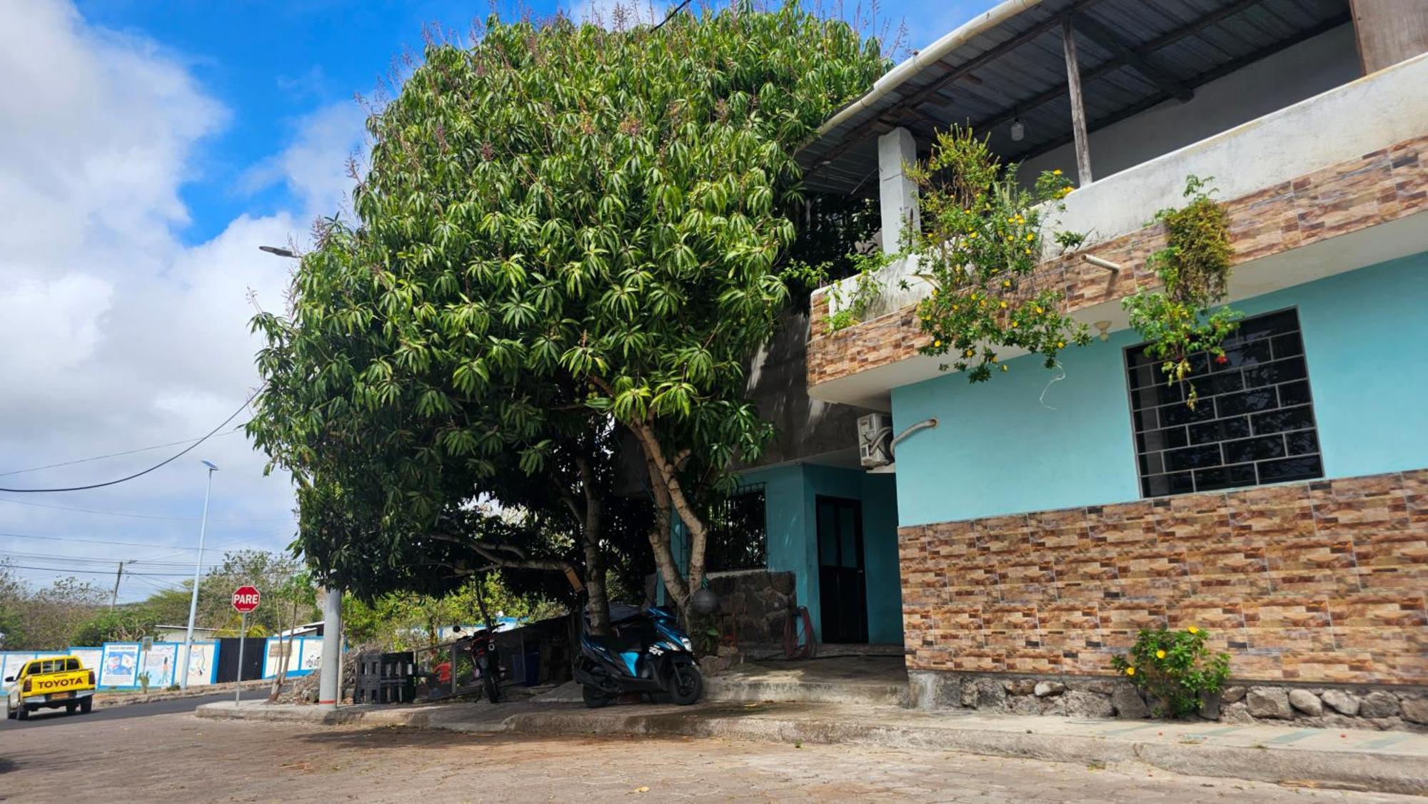 Flor'S House Apartman San Cristóbal Kültér fotó